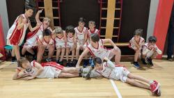 Usb Basket Aquilotti